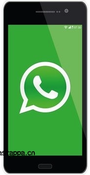 免费下载WhatsApp,支持多平台使用-WhatsApp中文版