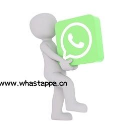 跨国语音识别,WhatsApp让交流更畅快,免费跨国语音聊天app-WhatsApp中文版