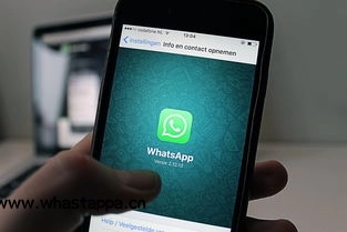 高清视频通话,WhatsApp带来面对面体验,whatsapp视频可以美颜吗-WhatsApp中文版