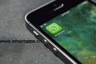 免费下载WhatsApp,畅享多平台高清沟通体验-WhatsApp中文版